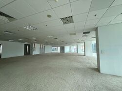 PLUS (D1), Office #485421041